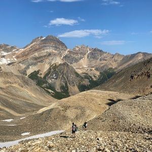 Meet your Posher, Taylor